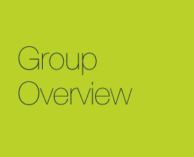 group overview